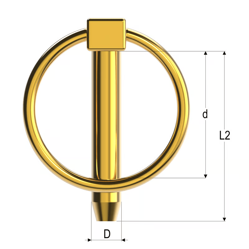 Disegno spina bloccaggio tipo T